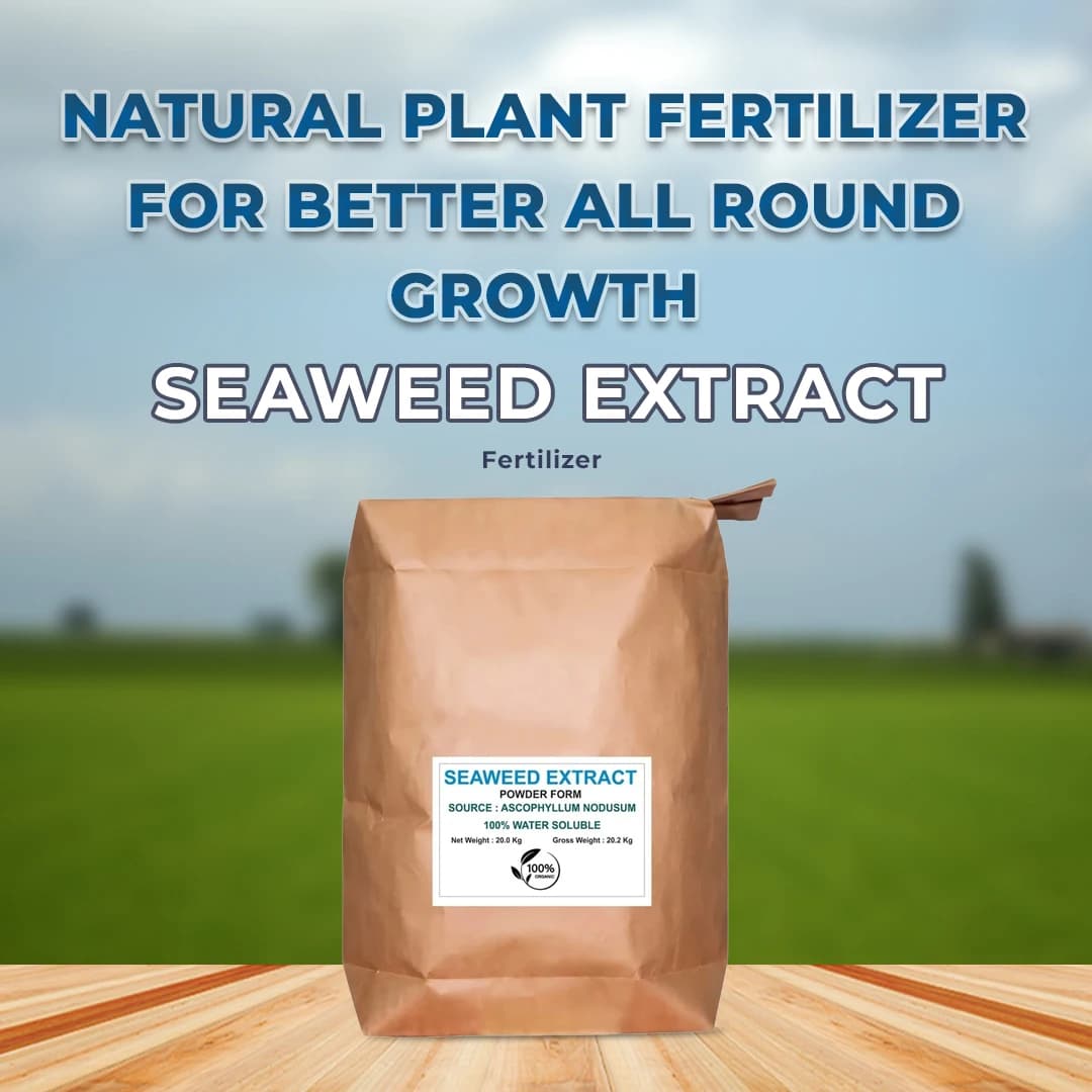 EBS Seaweed Extract Fertilizer Ascophyllum Nodusum, Organic Growth Enhancer For Improved Soil Fertility And Plant Health - Image 3