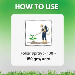 Katyayani PLANTIVO Tebuconazole 50% + Trifloxystrobin 25% WG Fungicide, Dual-Action Control Fungal Diseases 5