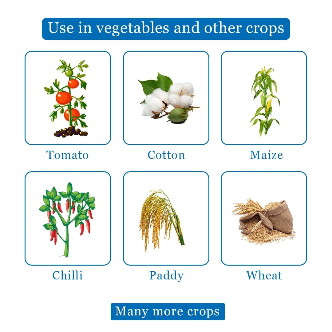 Dhanuka Godiwa Super Fungicide - Image 4