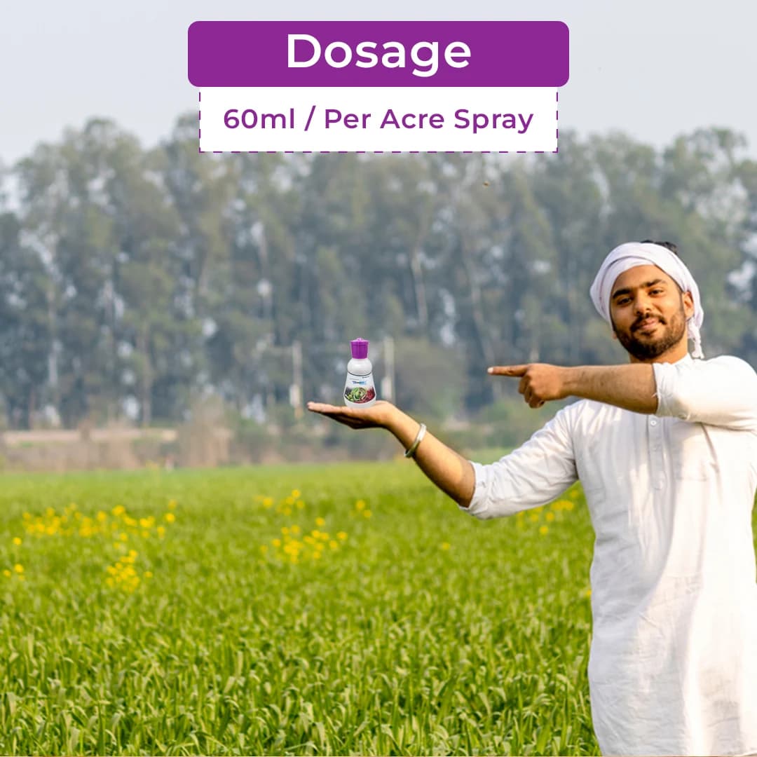 बेरीसन पावर कंट्रोल क्लोरान्ट्रानिलिप्रोले 18.50% एससी कीटनाशक, तेज़ नॉकडाउन और दीर्घकालिक नियंत्रण प्रदान करता है। - Image 6