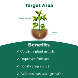 बीएसीएफ होर्ड एक्सटी - पैक्लोबुट्राजोल 23% एससी, प्लांट ग्रोथ रेगुलेटर, विशेष रूप से फलों के लिए. 3