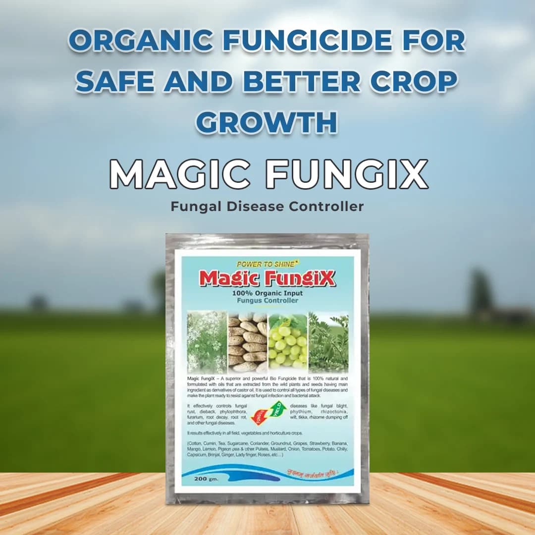 Magic FungiX For Fungal disease with 100% Natural Broad Spectrum Bio Fungicide, Fungal Disease Controller And Yield Enhancer - Image 2