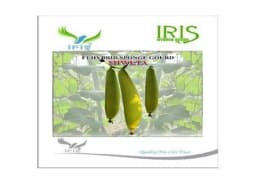 Iris Hybrid Vegetable Seeds F1 Hybrid Shweta Sponge Gourd, High Yielding Quality 1