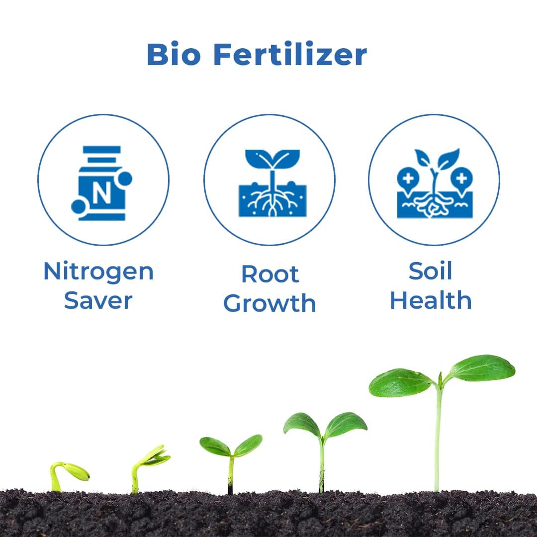 डॉ. बैक्टो कॉम्बो, एन.पी.के माइक्रोबियल लिक्विड कंसोर्टिया, लिक्विड बायो उर्वरक, पानी में घुलनशील, उपज की उपज और गुणवत्ता बढ़ाता है - Image 3