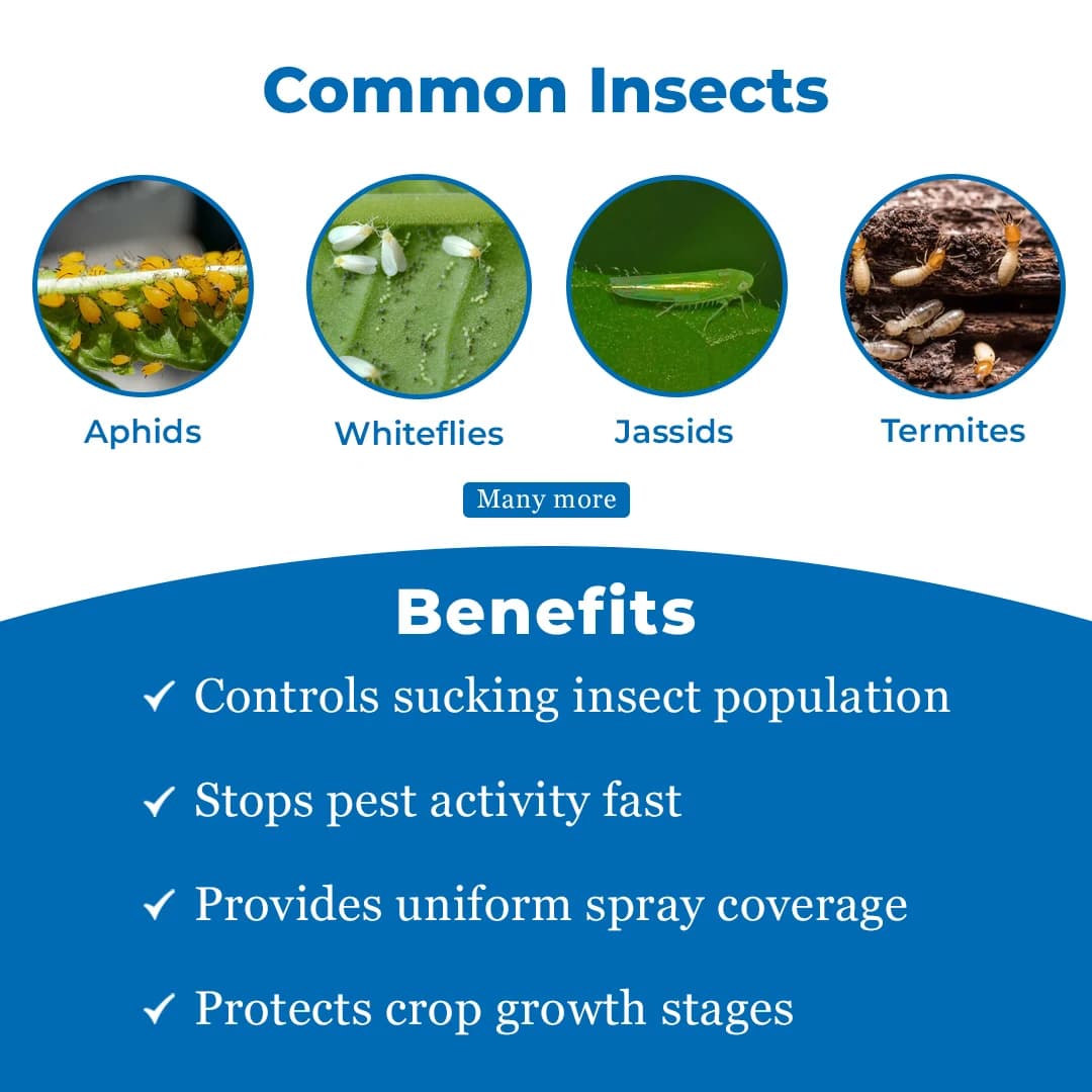 Exylon Thiapower Thiamethoxam 25% WG Insecticide, Effective Sucking Pest Control In Crops - Image 3
