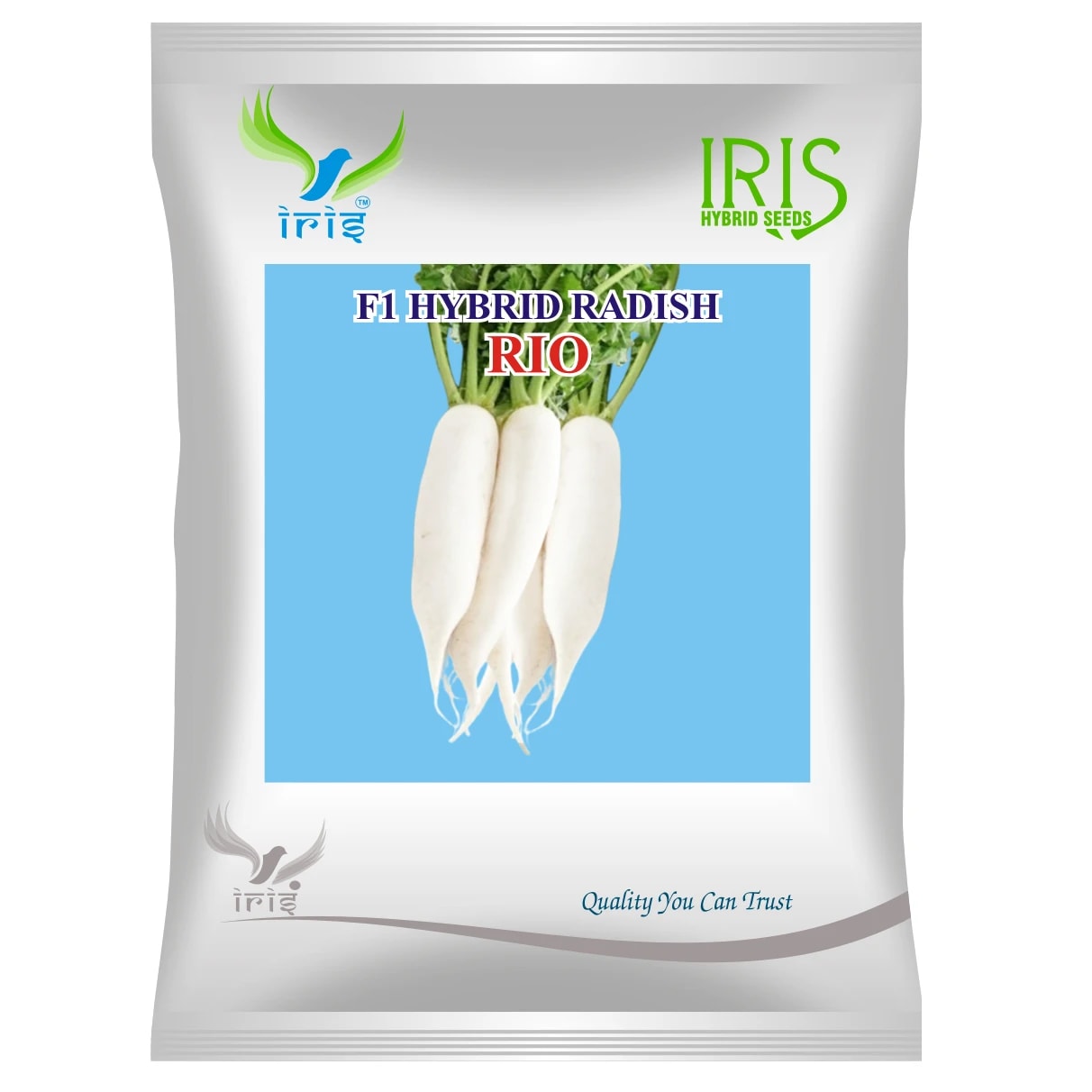 Iris RIO F1 Hybrid Radish Seeds, Early Maturity, Mild Pungent Glossy White Variety