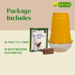 WAVAR Fruit Fly Trap with Bactrocera Cucurbitae Lure, Effective For Melon Fruit Fly Control In Cucurbit Crops 4
