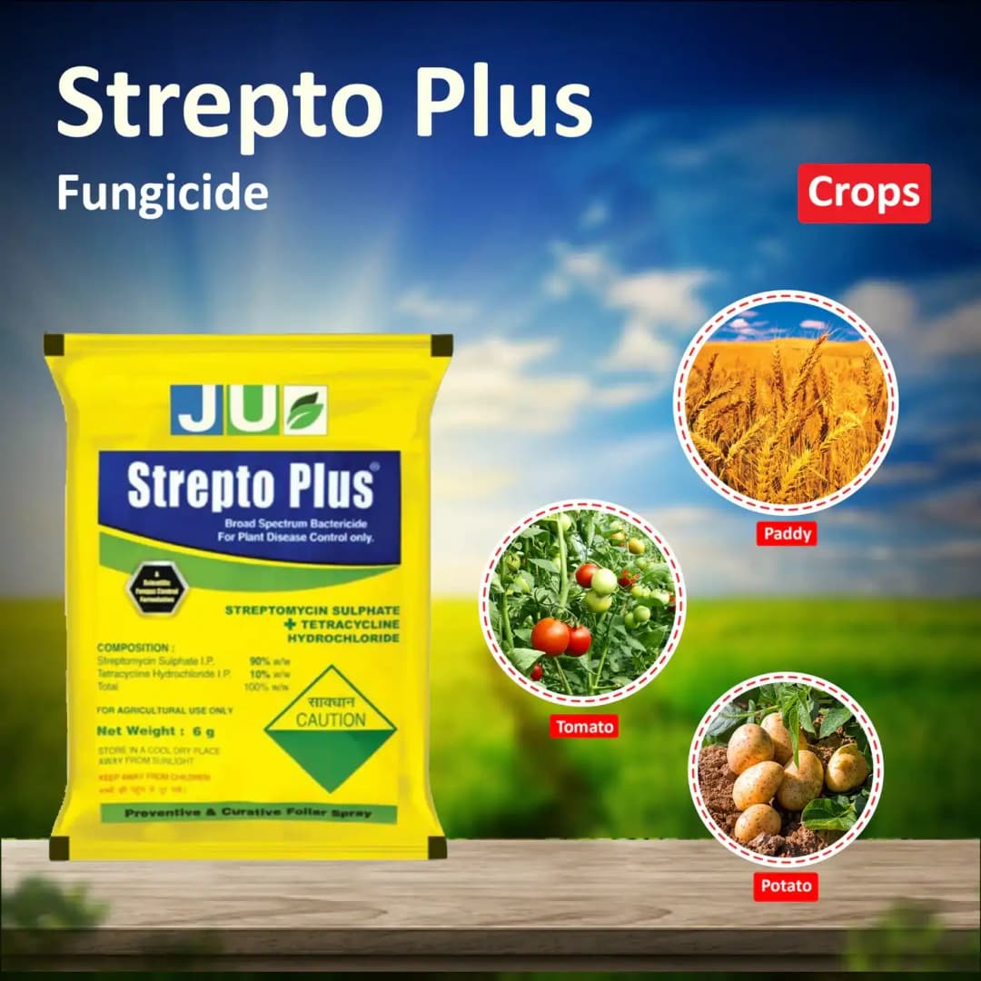JU Strepto Plus Broad Spectrum bactericide for Plant Disease Control - Image 6