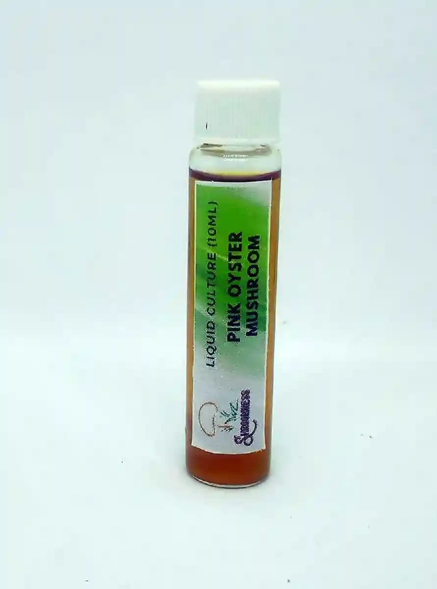 SporeKart Pink Oyster Mushroom Liquid Culture (10ml), 100% Clean, Concentrated. - Image 2