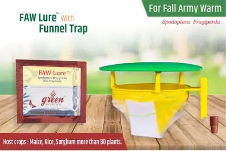 Funnel Trap With FAW (Fall Army Worm or Spodoptera frugiperda Pheromone Lure) for Maize, Rice, Sugarcane and Other Crops. - Image 7