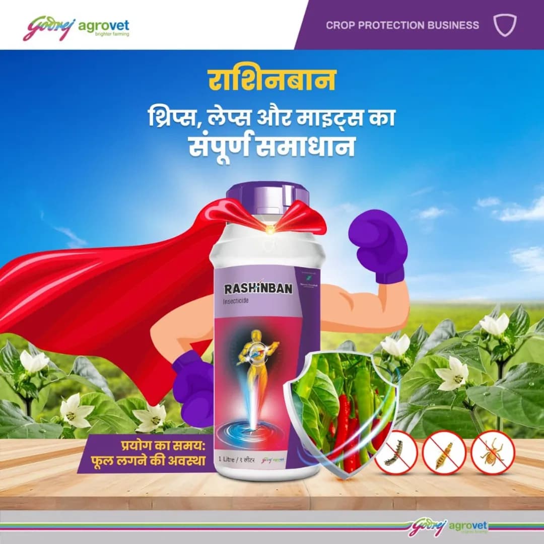 Godrej Rashinban Fluxametamide 3.8% + Pyridaben 9.5% SC Insecticide, Broad Spectrum, Targeting Sucking and Chewing Pests, Effective For Chilli - Image 7