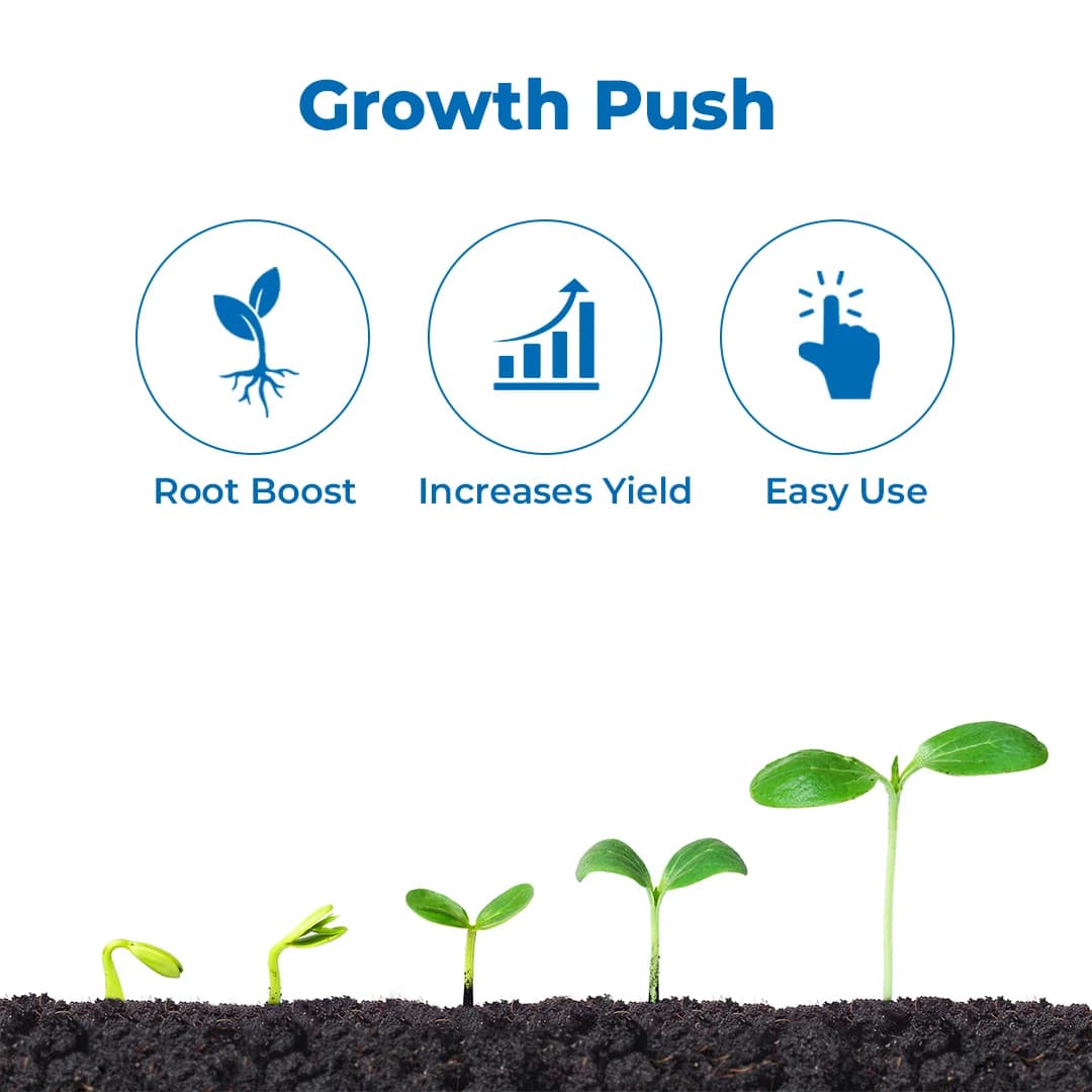 Ju Vita Gold Potassium Humate (68%) and Potassium Oxide (10%), Plant Growth Regulator, Enriched Organic Bio Enhancer - Image 3