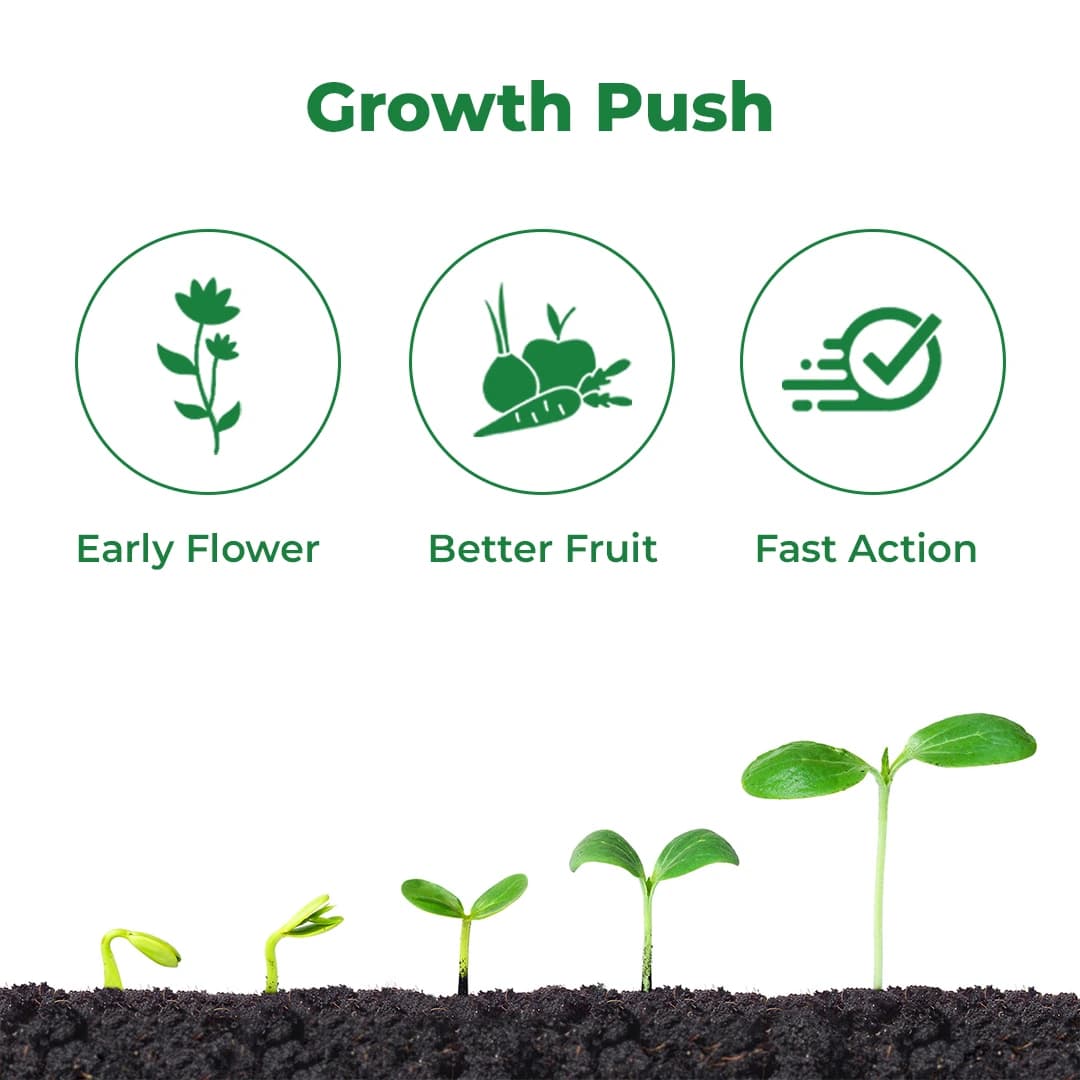 Sumitomo Progibb - Plant Growth Regulator - Image 3
