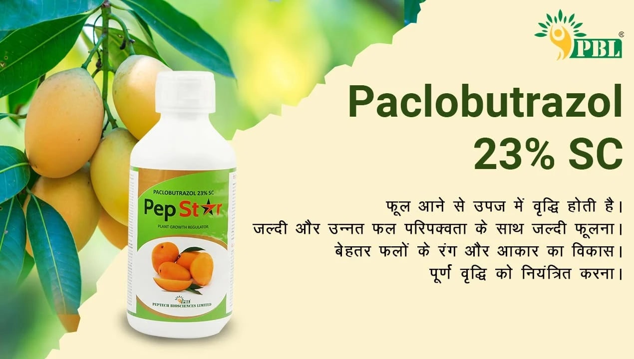 टाइटन एग्रीटेक पेप स्टैट पैक्लोब्युट्राज़ोल 23%, आम के पौधों के लिए उर्वरक, पौध वृद्धि नियंत्रक, बेहतर फल का रंग और आकार विकास के लिए