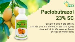 Titan Agritech Pep Star Paclobutrazol 23%, Mango Plant Growth Fertilizer, For Development Of Better Fruit Colour & Size 7