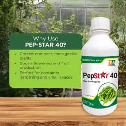 Titan Agritech PEP STAR 40 Paclobutrazol 40% SC Plant Growth Regulator, Effective For Mango And Fruit Trees 6