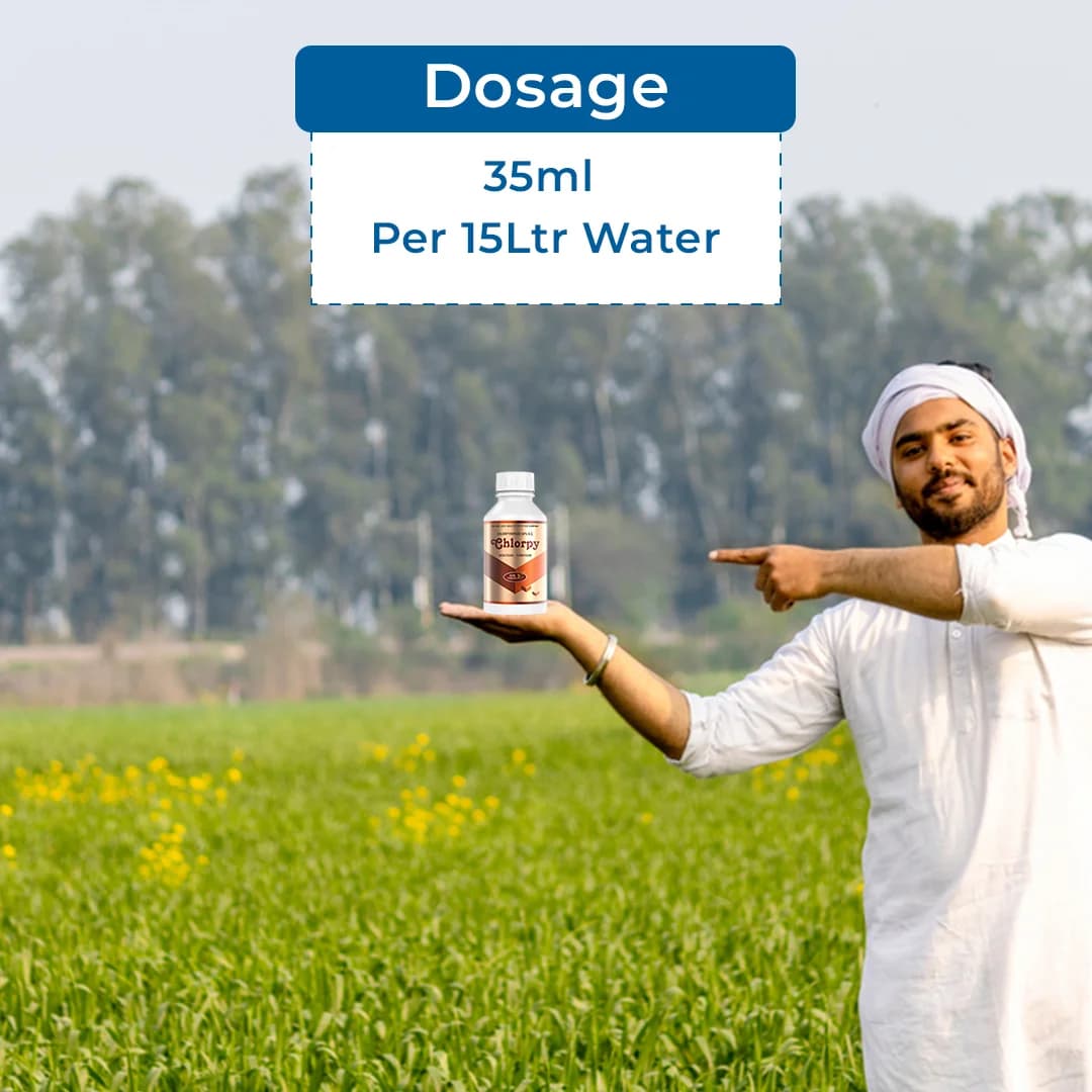 Agriventure Chlorpy (Chlorpyrifos 50% Ec) Contact And Stomach Action Insecticide - Image 5