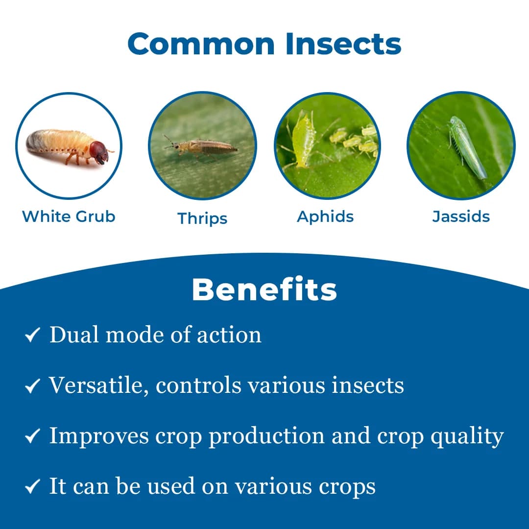 Finopride - Fipronil 40% + Imidacloprid 40% WG Unique Insecticide, Control White Grub and Sucking Pests - Image 3