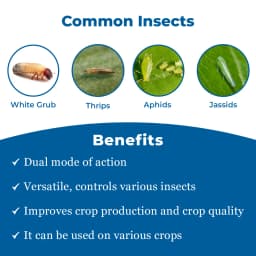 Finopride - Fipronil 40% + Imidacloprid 40% WG Unique Insecticide, Control White Grub and Sucking Pests 3