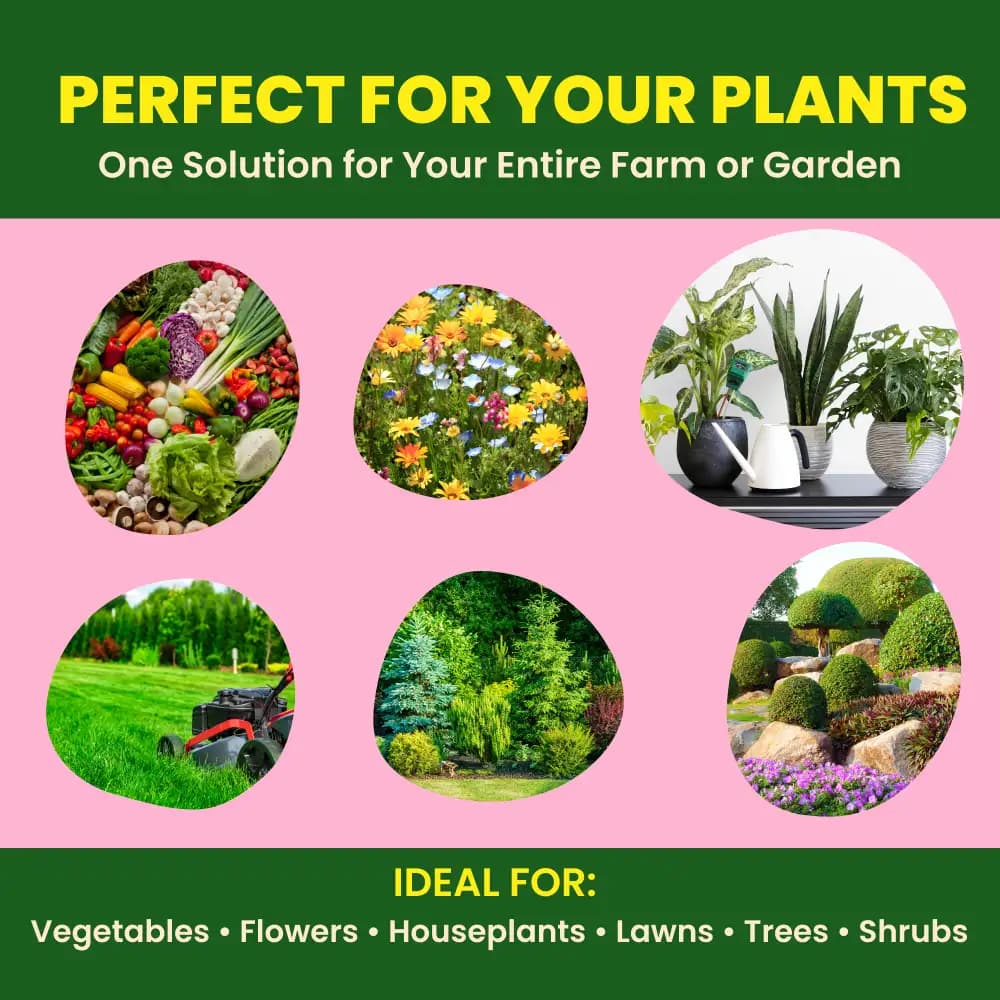 उत्कर्ष कैल्शियम नाइट्रेट Ca(NO3)2 (100% पानी में घुलनशील उर्वरक) पत्तियों पर स्प्रे और सिंचाई के लिए। - Image 3