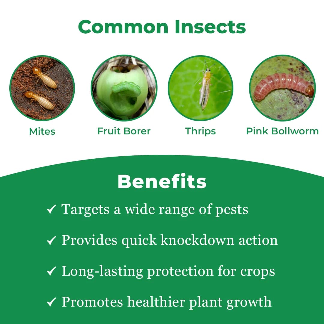Coromandel Benzer - Emamectin Benzoate 5% SG Insecticides, For Controlling Fruit & Shoot Borer, Thrips, Mites - Image 3