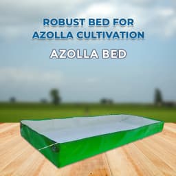 Greeno Biotech 450 GSM Bed for Azolla Cultivation HDPE UV Stabilized, Mutli - Threated Stitching Quality, Waterproof , Well Tested, Durable. 2