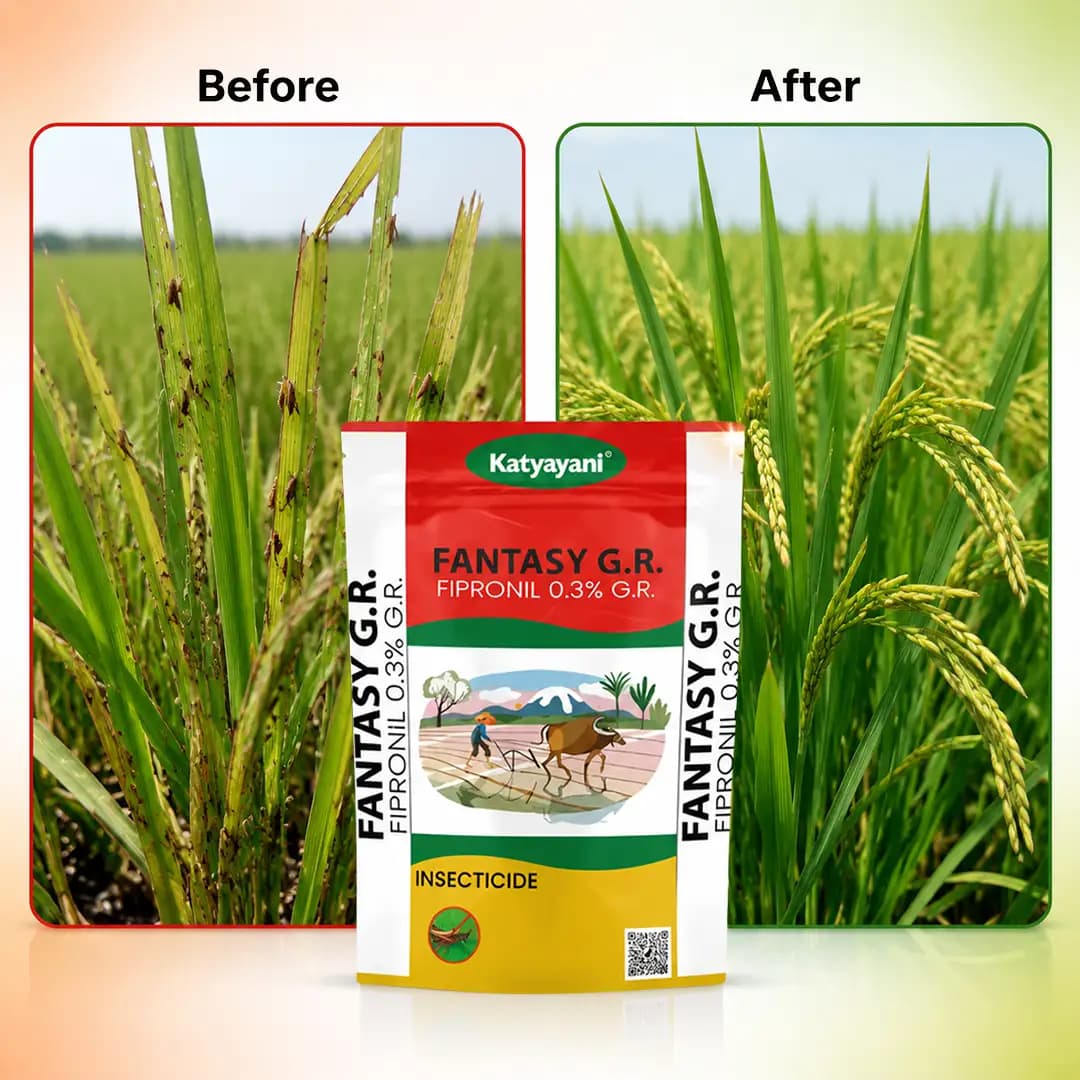 Katyayani Fantasy G.R. Insecticide - Fipronil 0.3% GR - Image 7