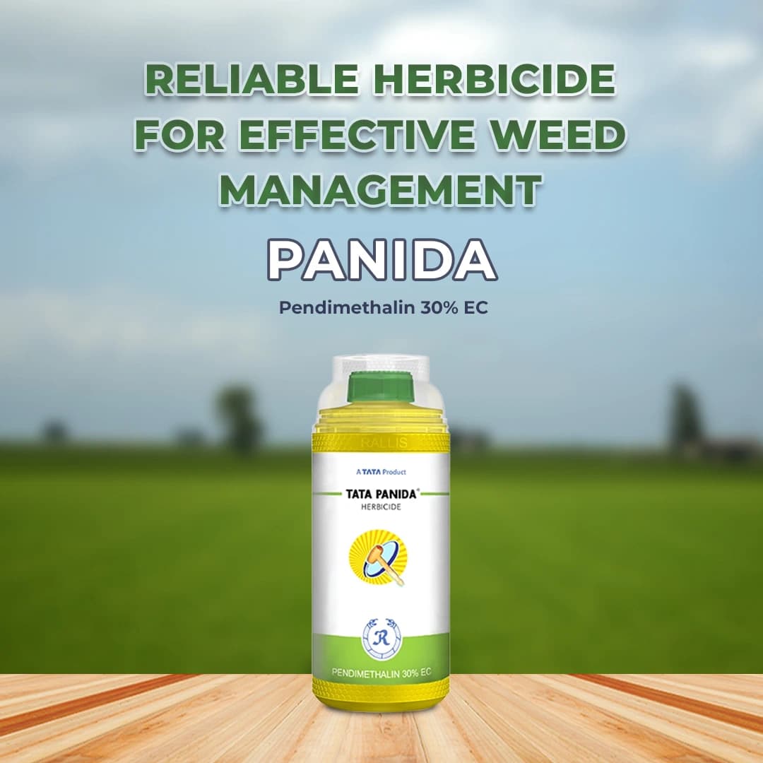 TATA Rallis Panida Pendimethalin 30% EC, Prevents Plant Cell-Division & Elongation, Inhibits Root And Shoot Growth. - Image 2