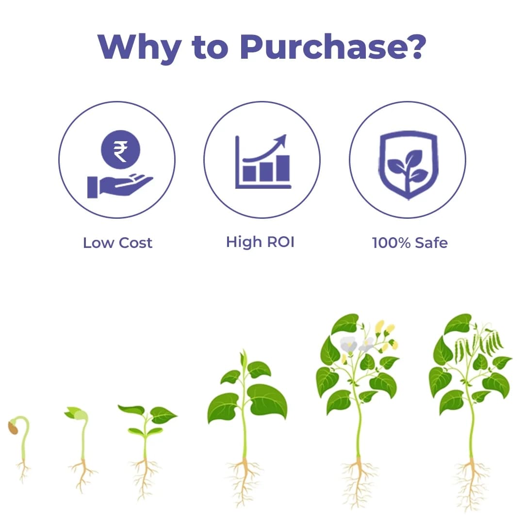 Super Nova - 100% Natural Seaweed Extract Bio-Stimulant, Improves Root Development, Specialized Bio-Fertilizer for All Crops - Image 3