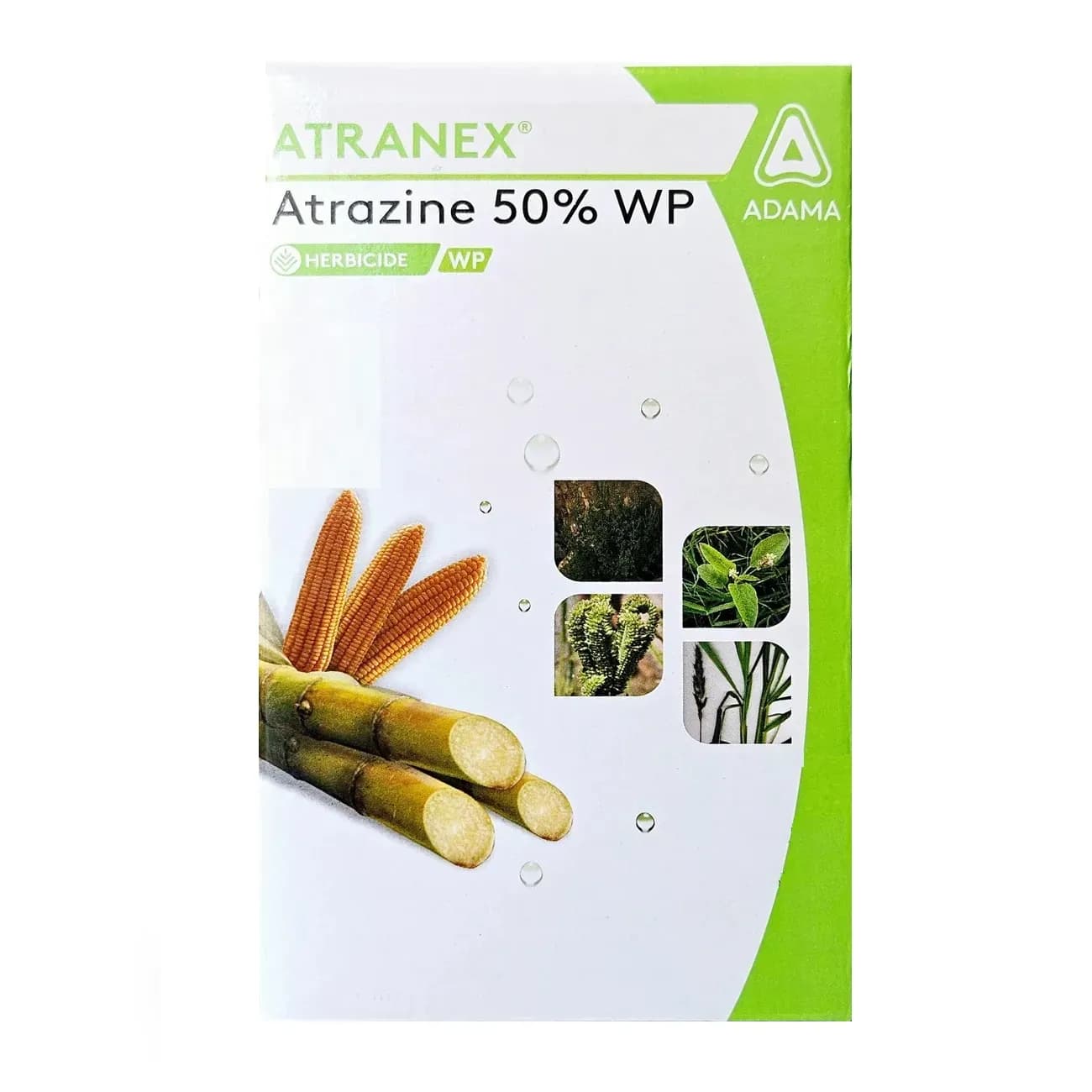 Adama Atranex Atrazine 50% WP Herbicide, Selective Weed Control In Maize & Sugarcane - Image 2