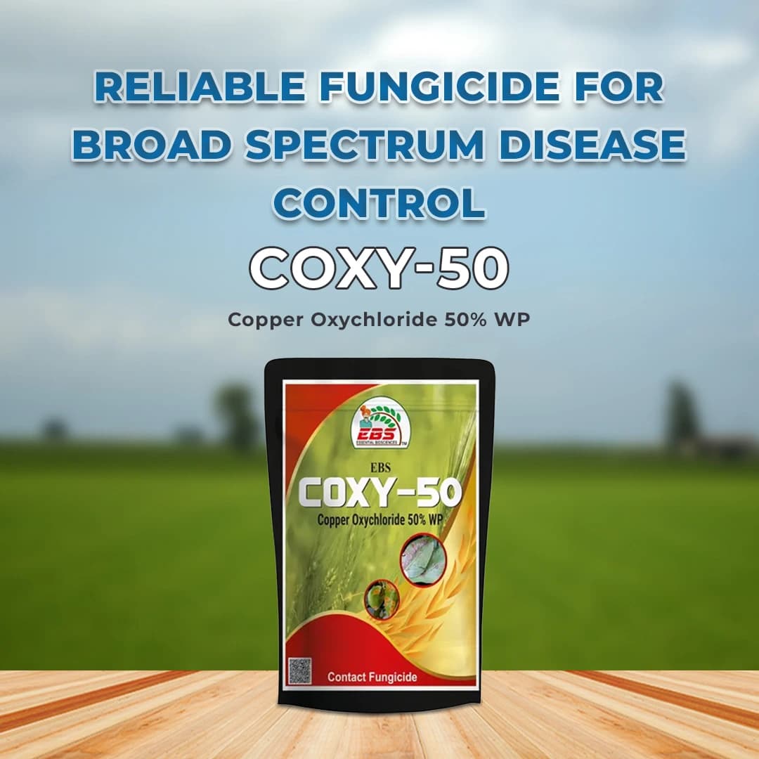 EBS Coxy-50 Copper Oxychloride 50% WP Fungicide, Broad Spectrum That Controls Fungal And Bacterial Diseases - Image 2