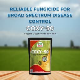 EBS Coxy-50 Copper Oxychloride 50% WP Fungicide, Broad Spectrum That Controls Fungal And Bacterial Diseases 2