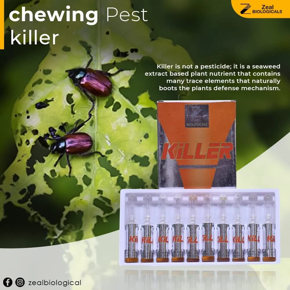 Zeal Killer Insecticide - Image 2