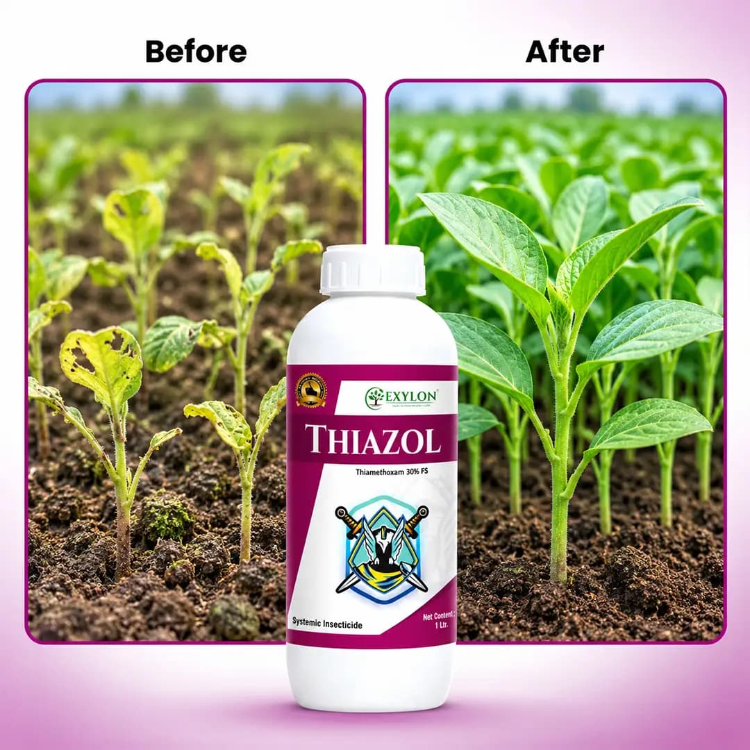 எக்சிலான் தயாசோல் தயாமீத்தாக்சம் 30% FS பூச்சிக்கொல்லி, ஆரம்பகால பூச்சி கட்டுப்பாட்டுக்கான திறமையான விதை நேர்த்தி - Image 8