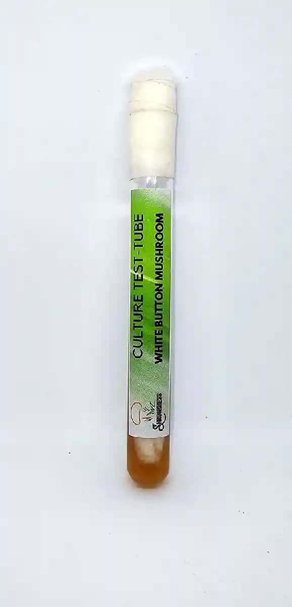 SporeKart White Button Mushroom Culture In Test-Tube, 100 % Clean, Ideal For Spawn Production. - Image 2