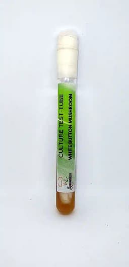 श्रूमनेस व्हाइट बटन मशरूम कल्चर टेस्ट-ट्यूब में, 100% साफ, स्पॉन उत्पादन के लिए आदर्श 2