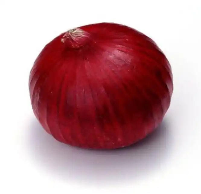 Jivit F1 Hybrid Red Onion Seeds Sindoori Semi Globe, Pyaj Ke Beej, High Yield Variety.