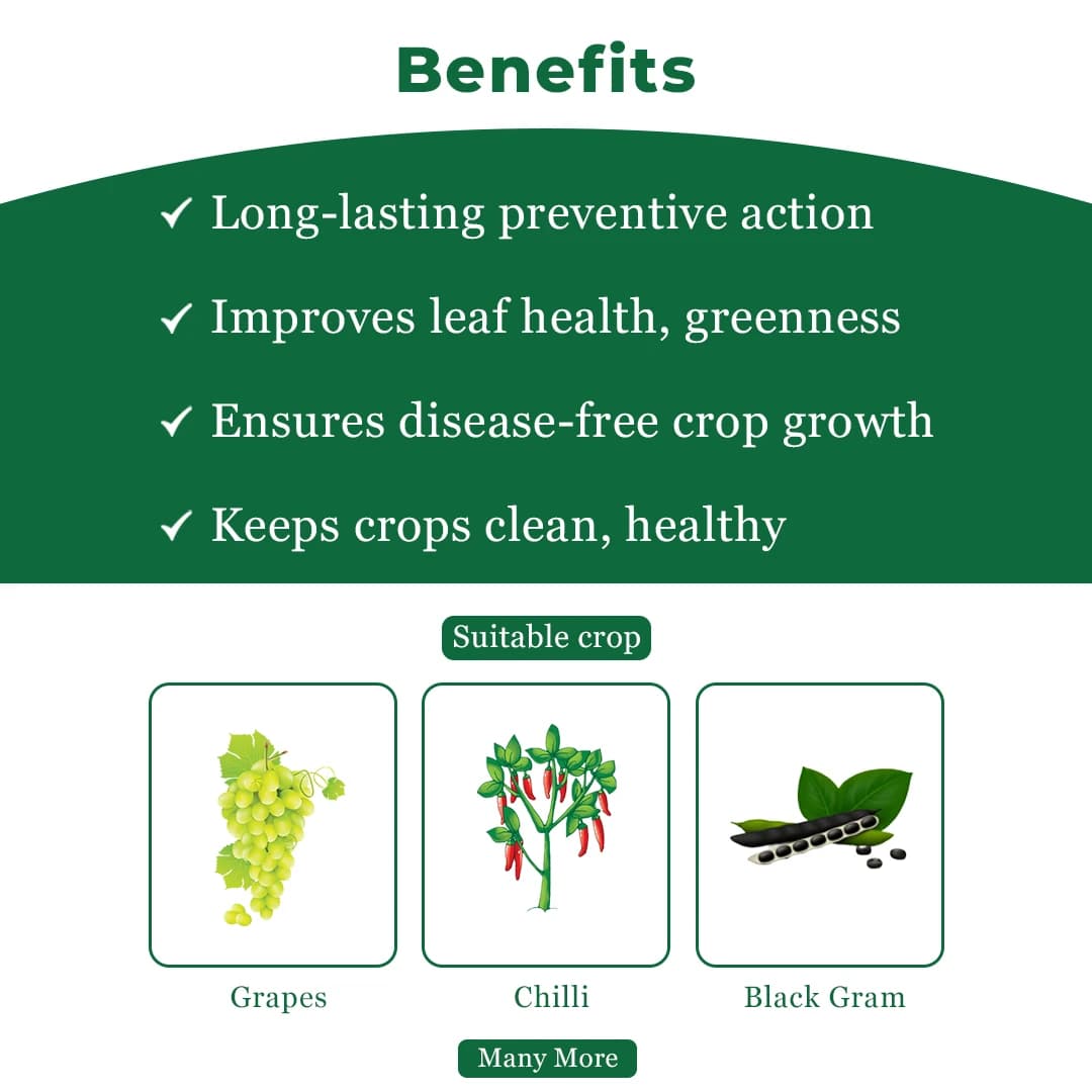 Dhanuka NISSODIUM Cyflufenamid 5% EW Fungicide, Provides Long Lasting Protection Against Powdery Mildew In Crop - Image 4