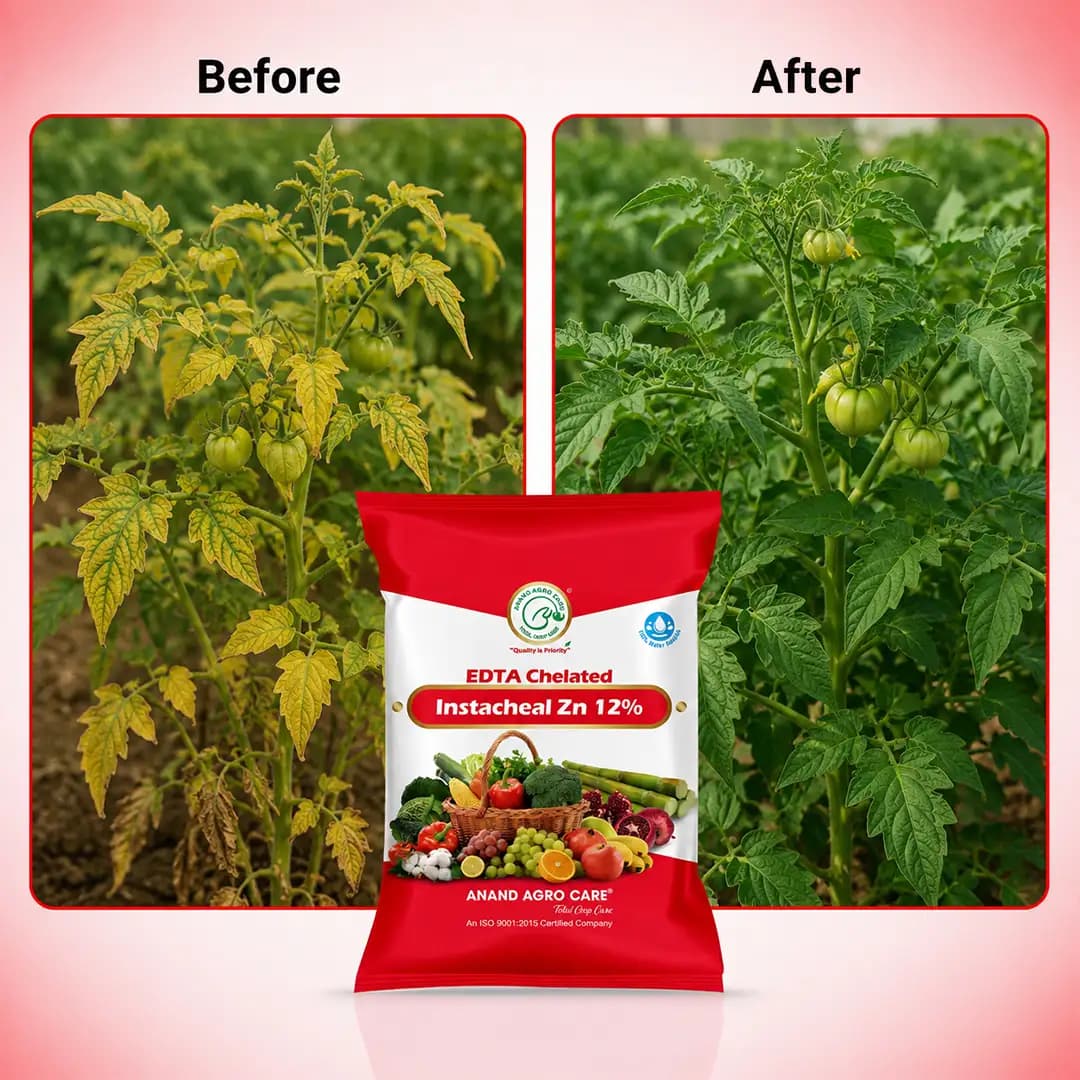 Anand Agro Instacheal Zinc - Chelated Zinc Fertilizer - Image 7