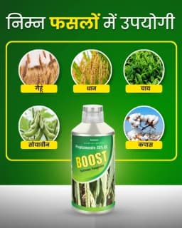 Katyayani Boost Fungicide - Propiconazole 25% EC 4