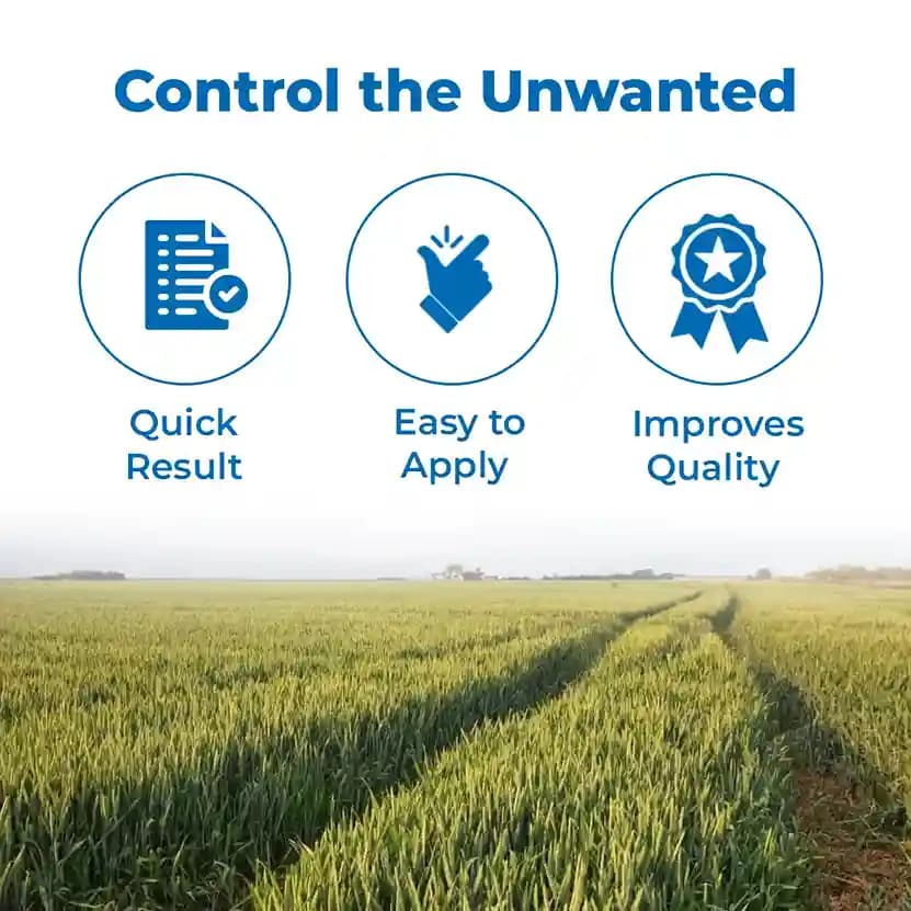 Thakar Bomb Clodinafop Propargyl 15% WP Herbicide, Excellent Action On Phalaris Minor, Can Be Used With Safener, Effective On Weeds, Easy To Use - Image 3