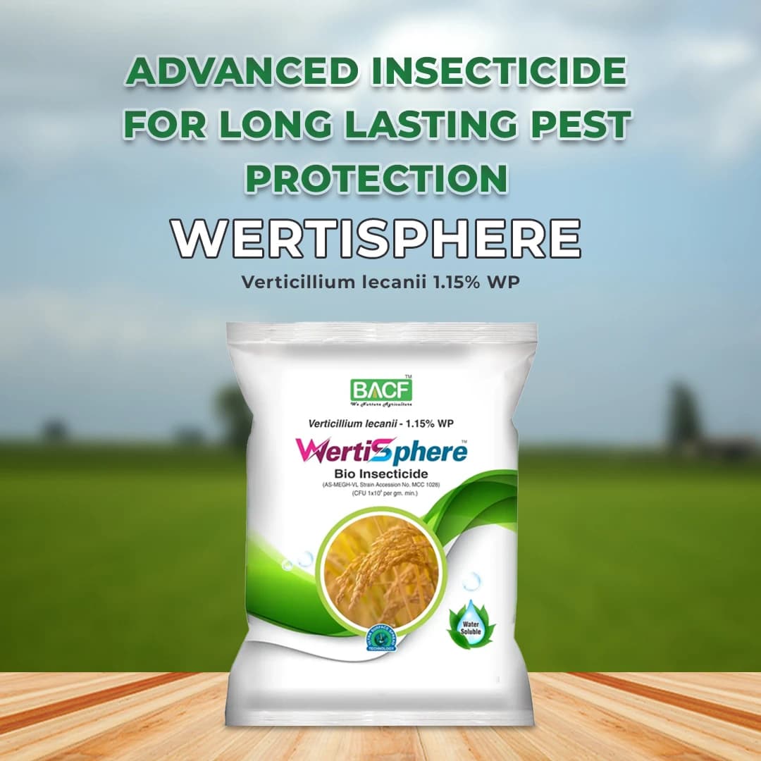 BACF Wertisphere Verticillium Lecanii 1.15% WP, 1 x 10^8 CFUs Per gm. min Based On A Beneficial Entomophagous Fungus Verticillium Lecanii - Image 2