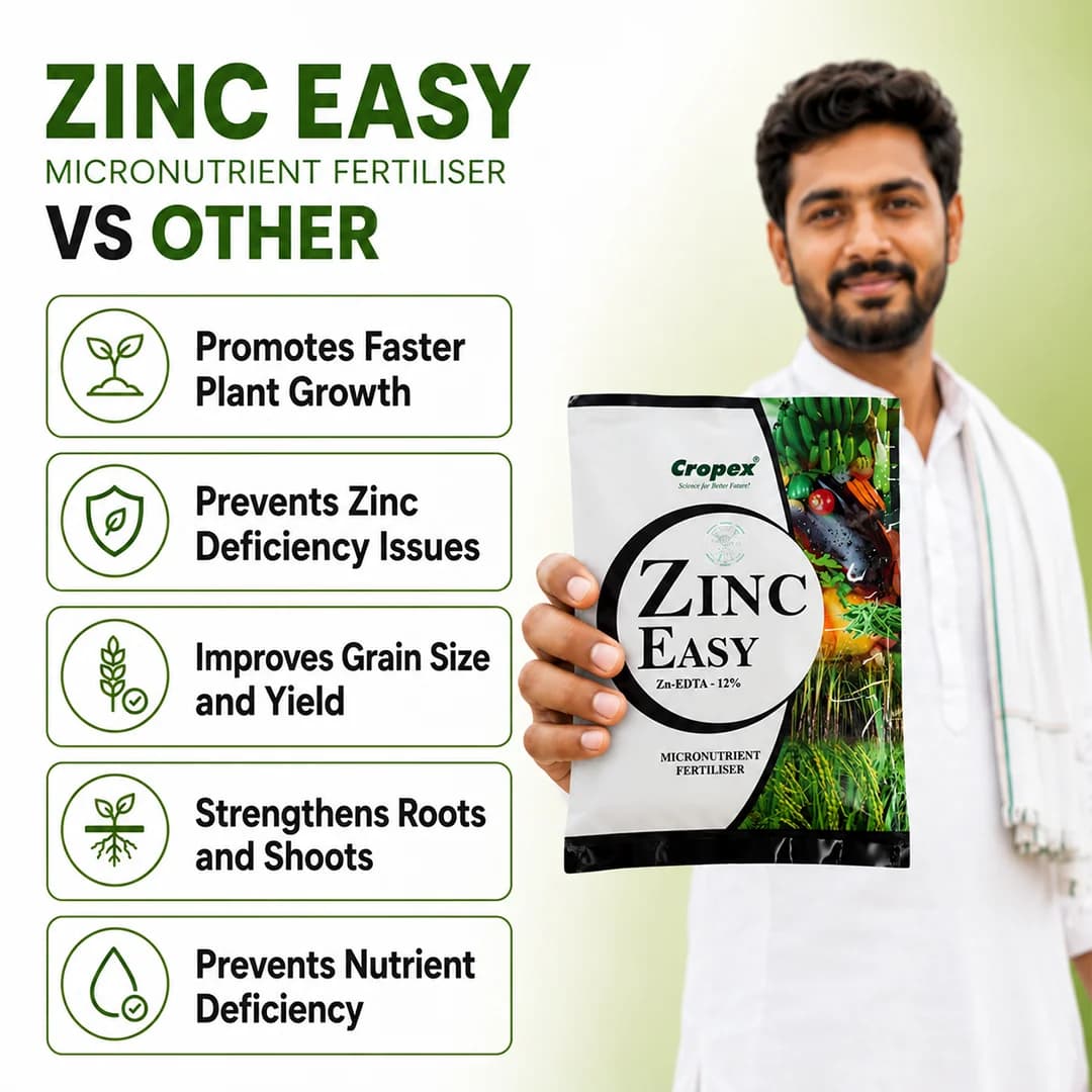 Zinc Easy - Zinc-edta-12% Fertilizer - Image 7