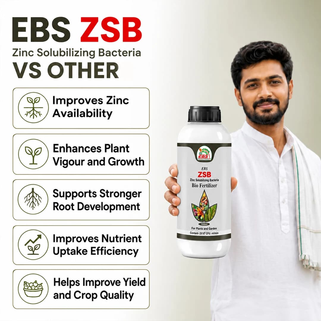 EBS జింక్ సొల్యుబిలైజింగ్ బ్యాక్టీరియల్ జీవన ఎరువు (ZSB), అన్ని మొక్కలకు & హోమ్ గార్డెన్కు, పర్యావరణ అనుకూలం - Image 7
