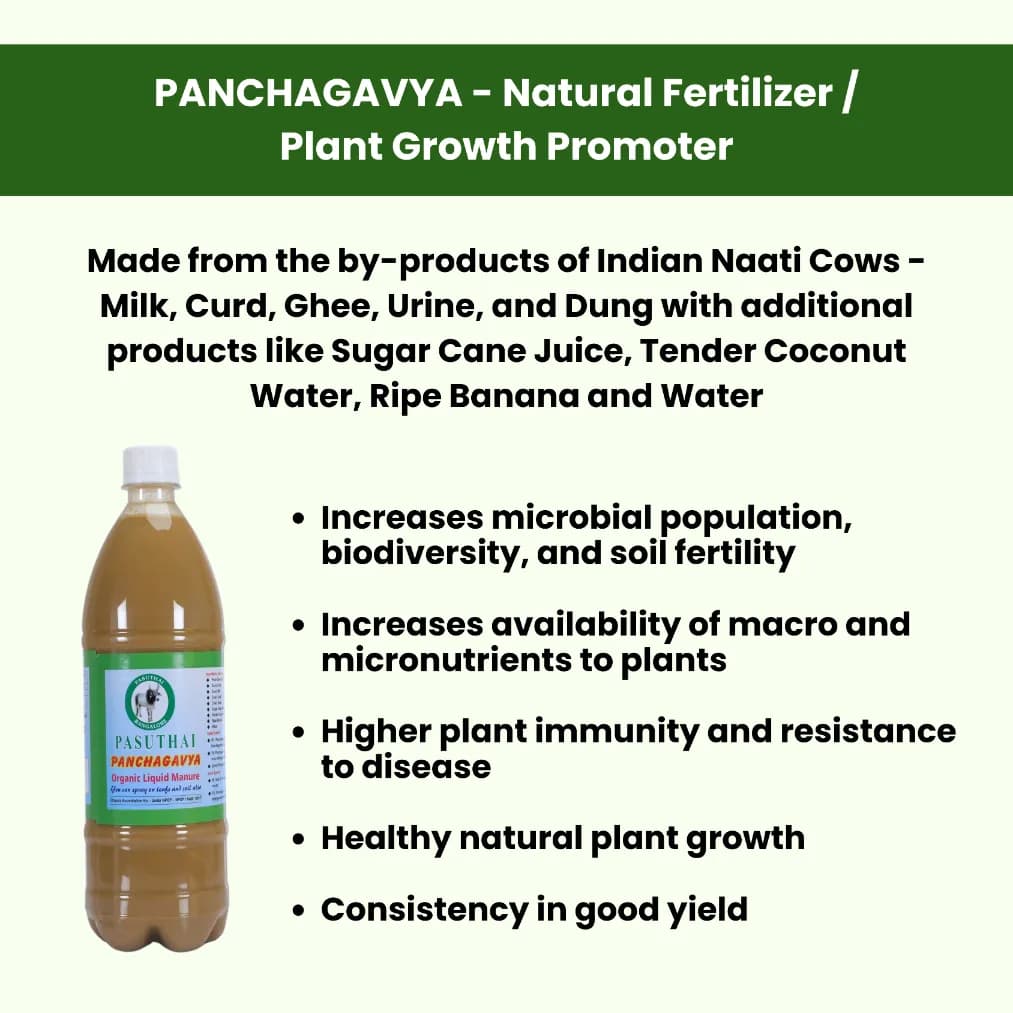 Pasuthai Panchagavya Liquid Plant Growth Promoter, Promotes Healthy plant Growth & Boosts Soil Microbial Activity - Image 3