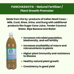 Pasuthai Panchagavya Liquid Plant Growth Promoter, Promotes Healthy plant Growth & Boosts Soil Microbial Activity 3