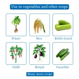 Mytoren - Pymetrozine 50% WG, Powerful Control Against Rice Plant Hopper, Also Control All Stages Of Aphids, Whiteflies. 4