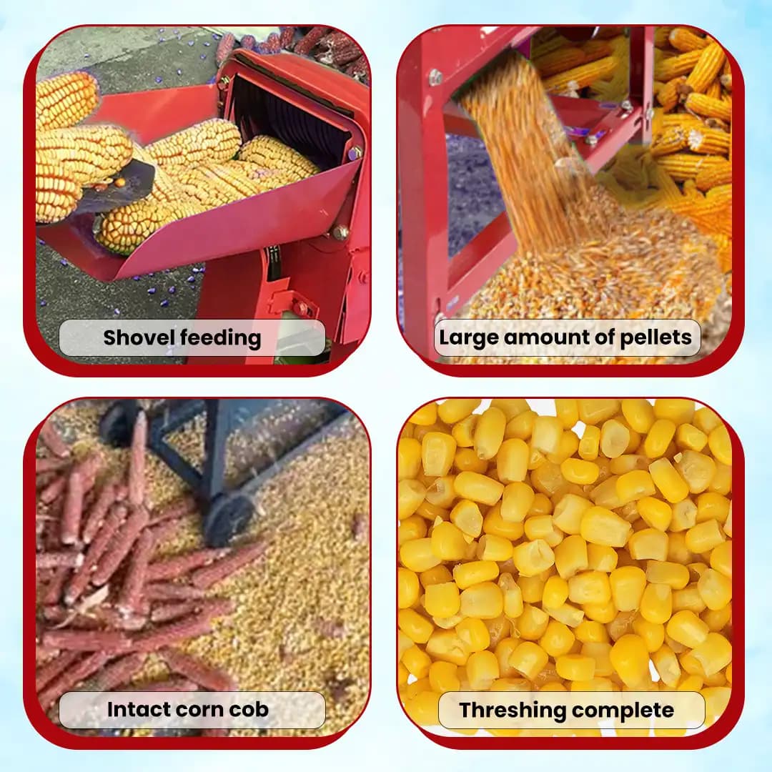 Balwaan CT-600 Corn Thresher With Motor, 1.3 HP 2800 RPM, 1500 Kg Per Hour Capacity, Double Roller - Image 7