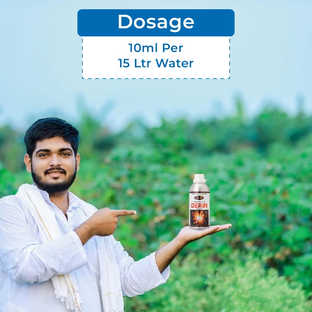 Agriventure Derin (Deltamethrin 11% Ec) Insecticide, Effective Controls Of Bollworm, Fruit Borer, Leaf Folder, Fruit Borer, Thrips - Image 5