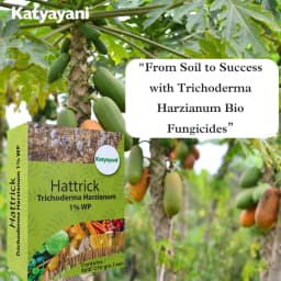 Katyayani Hattrick Trichoderma Harzianum Bio Fungicide Powder Advanced Biological Solution For Effective Fungal Disease Control 3